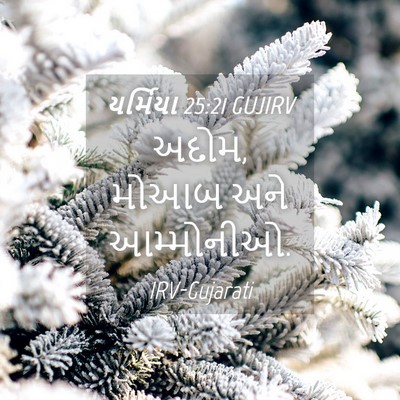 Picture 04 - યર્મિયા 25:21 GUJIRV - અદોમ, મોઆબ અને - Bible Verse Picture