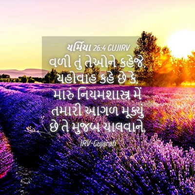Picture 04 - યર્મિયા 26:4 GUJIRV - વળી તું તેઓને - Bible Verse Picture