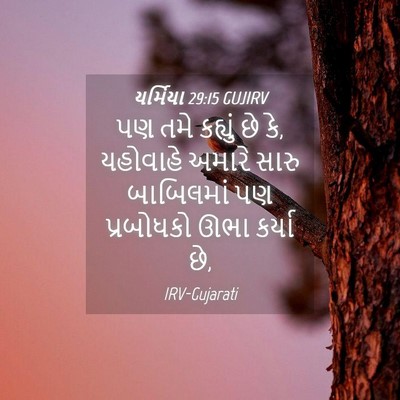 Picture 04 - યર્મિયા 29:15 GUJIRV - પણ તમે કહ્યું છે - Bible Verse Picture