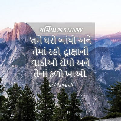 Picture 04 - યર્મિયા 29:5 GUJIRV - ‘તમે ઘરો બાંધો અને - Bible Verse Picture