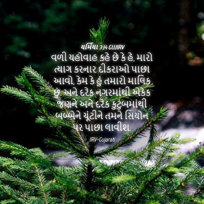 Picture 04 - યર્મિયા 3:14 GUJIRV - વળી યહોવાહ કહે છે - Bible Verse Picture