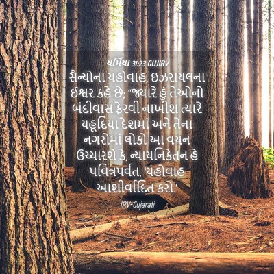 Picture 04 - યર્મિયા 31:23 GUJIRV - સૈન્યોના યહોવાહ, - Bible Verse Picture