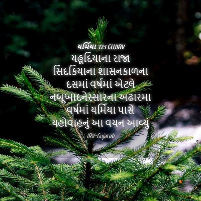 Picture 04 - યર્મિયા 32:1 GUJIRV - યહૂદિયાના રાજા - Bible Verse Picture