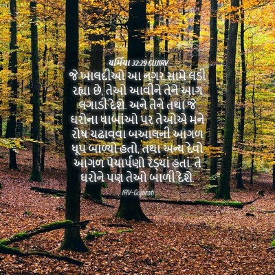 Picture 04 - યર્મિયા 32:29 GUJIRV - જે ખાલદીઓ આ નગર - Bible Verse Picture
