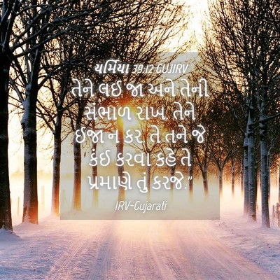 Picture 04 - યર્મિયા 39:12 GUJIRV - તેને લઈ જા અને તેની - Bible Verse Picture