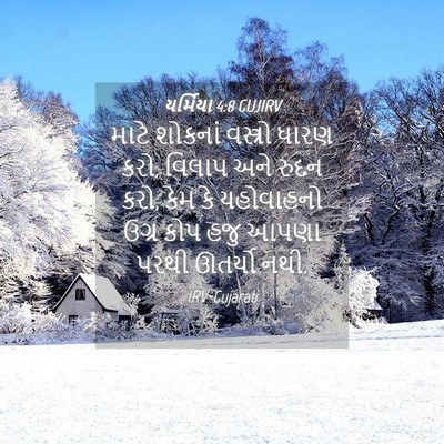 Picture 04 - યર્મિયા 4:8 GUJIRV - માટે શોકનાં - Bible Verse Picture