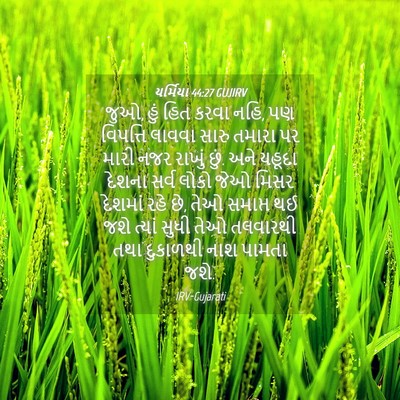 Picture 04 - યર્મિયા 44:27 GUJIRV - જુઓ, હું હિત કરવા - Bible Verse Picture