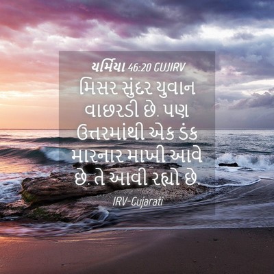 Picture 04 - યર્મિયા 46:20 GUJIRV - મિસર સુંદર યુવાન - Bible Verse Picture