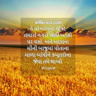 Picture 04 - યર્મિયા 48:28 GUJIRV - હે મોઆબના લોકો, - Bible Verse Picture