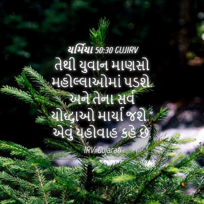 Picture 04 - યર્મિયા 50:30 GUJIRV - તેથી યુવાન માણસો - Bible Verse Picture