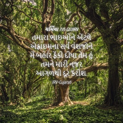 Picture 04 - યર્મિયા 7:15 GUJIRV - તમારા ભાઇઓને એટલે - Bible Verse Picture