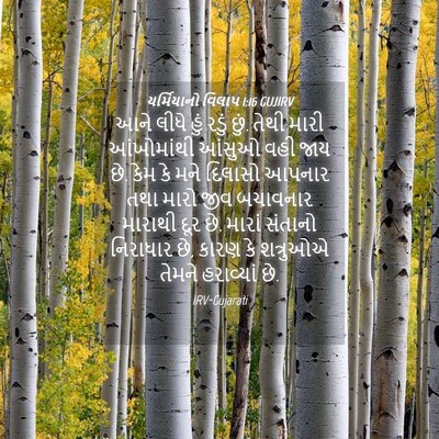 Picture 04 - યર્મિયાનો વિલાપ 1:16 GUJIRV - આને લીધે હું રડું - Bible Verse Picture