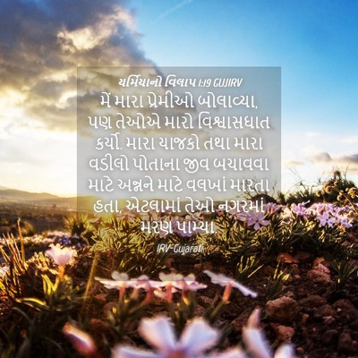 Picture 04 - યર્મિયાનો વિલાપ 1:19 GUJIRV - મેં મારા પ્રેમીઓ - Bible Verse Picture