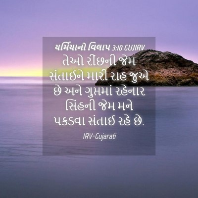 Picture 04 - યર્મિયાનો વિલાપ 3:10 GUJIRV - તેઓ રીંછની જેમ - Bible Verse Picture