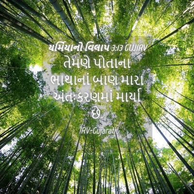 Picture 04 - યર્મિયાનો વિલાપ 3:13 GUJIRV - તેમણે પોતાના - Bible Verse Picture