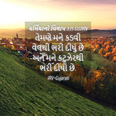 Picture 04 - યર્મિયાનો વિલાપ 3:15 GUJIRV - તેમણે મને કડવી - Bible Verse Picture