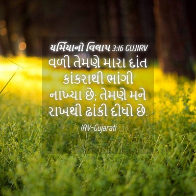 Picture 04 - યર્મિયાનો વિલાપ 3:16 GUJIRV - વળી તેમણે મારા - Bible Verse Picture
