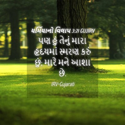 Picture 04 - યર્મિયાનો વિલાપ 3:21 GUJIRV - પણ હું તેનું મારા - Bible Verse Picture