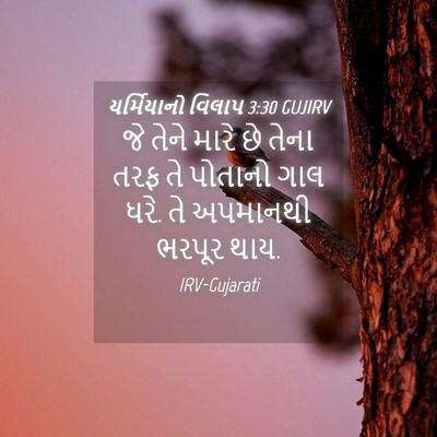 Picture 04 - યર્મિયાનો વિલાપ 3:30 GUJIRV - જે તેને મારે છે - Bible Verse Picture