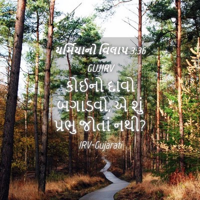 Picture 04 - યર્મિયાનો વિલાપ 3:36 GUJIRV - કોઈનો દાવો બગાડવો, - Bible Verse Picture