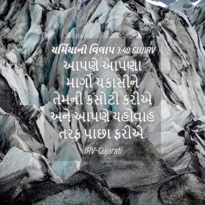 Picture 04 - યર્મિયાનો વિલાપ 3:40 GUJIRV - આપણે આપણા માર્ગો - Bible Verse Picture
