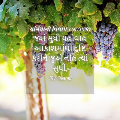 Picture 04 - યર્મિયાનો વિલાપ 3:50 GUJIRV - જ્યાં સુધી યહોવાહ - Bible Verse Picture