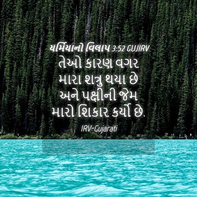 Picture 04 - યર્મિયાનો વિલાપ 3:52 GUJIRV - તેઓ કારણ વગર મારા - Bible Verse Picture