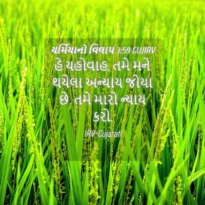 Picture 04 - યર્મિયાનો વિલાપ 3:59 GUJIRV - હે યહોવાહ, તમે મને - Bible Verse Picture