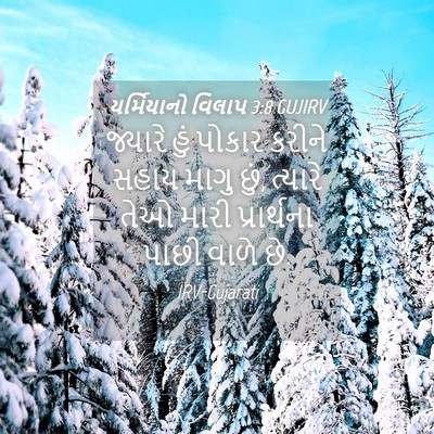 Picture 04 - યર્મિયાનો વિલાપ 3:8 GUJIRV - જ્યારે હું પોકાર - Bible Verse Picture