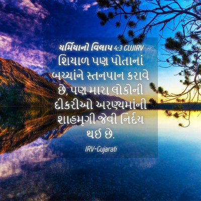 Picture 04 - યર્મિયાનો વિલાપ 4:3 GUJIRV - શિયાળ પણ પોતાનાં - Bible Verse Picture