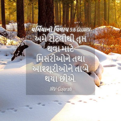 Picture 04 - યર્મિયાનો વિલાપ 5:6 GUJIRV - અમે રોટલીથી તૃપ્ત - Bible Verse Picture