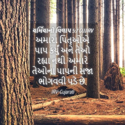 Picture 04 - યર્મિયાનો વિલાપ 5:7 GUJIRV - અમારા પિતૃઓએ પાપ - Bible Verse Picture