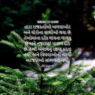 Picture 04 - યશાયા 1:23 GUJIRV - તારા રાજકર્તાઓ - Bible Verse Picture