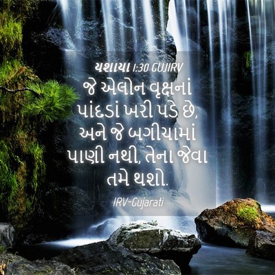 Picture 04 - યશાયા 1:30 GUJIRV - જે એલોન વૃક્ષનાં - Bible Verse Picture