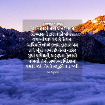 Picture 04 - યશાયા 16:8 GUJIRV - કેમ કે હેશ્બોનનાં - Bible Verse Picture