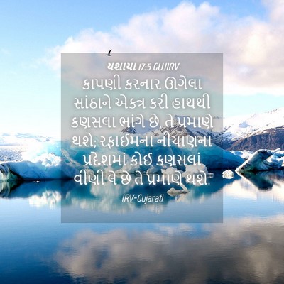 Picture 04 - યશાયા 17:5 GUJIRV - કાપણી કરનાર ઊગેલા - Bible Verse Picture