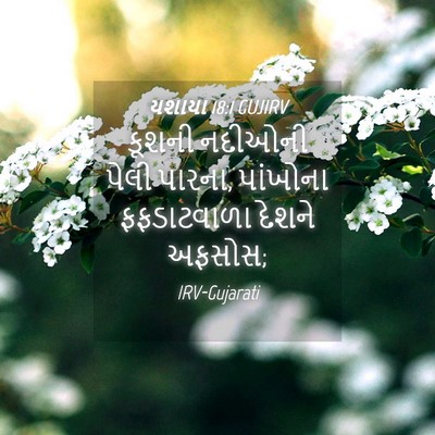 Picture 04 - યશાયા 18:1 GUJIRV - કૂશની નદીઓની પેલી - Bible Verse Picture
