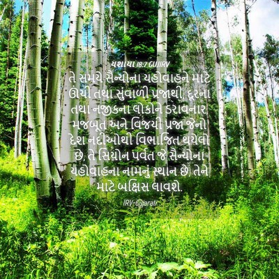 Picture 04 - યશાયા 18:7 GUJIRV - તે સમયે સૈન્યોના - Bible Verse Picture