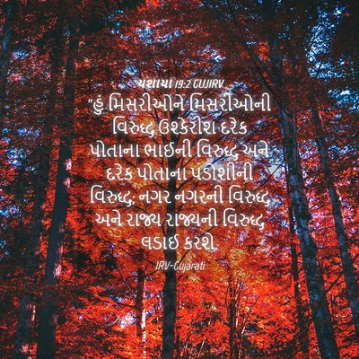 Picture 04 - યશાયા 19:2 GUJIRV - “હું મિસરીઓને - Bible Verse Picture