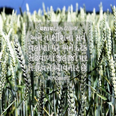 Picture 04 - યશાયા 2:16 GUJIRV - અને તાર્શીશના - Bible Verse Picture