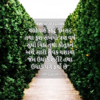 Picture 04 - યશાયા 20:3 GUJIRV - યહોવાહે કહ્યું, - Bible Verse Picture