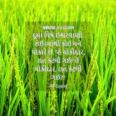 Picture 04 - યશાયા 21:11 GUJIRV - દૂમા વિષે - Bible Verse Picture