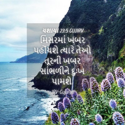 Picture 04 - યશાયા 23:5 GUJIRV - મિસરમાં ખબર - Bible Verse Picture