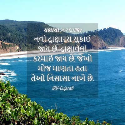 Picture 04 - યશાયા 24:7 GUJIRV - નવો દ્રાક્ષારસ - Bible Verse Picture