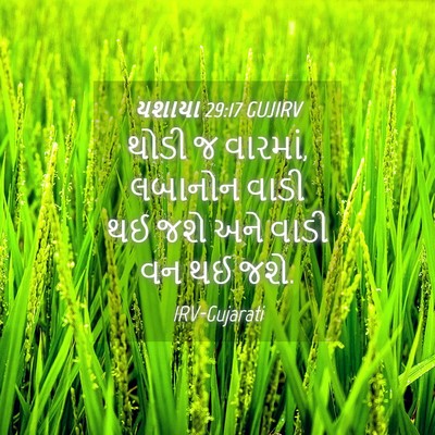 Picture 04 - યશાયા 29:17 GUJIRV - થોડી જ વારમાં, - Bible Verse Picture