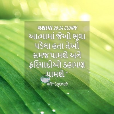 Picture 04 - યશાયા 29:24 GUJIRV - આત્મામાં જેઓ ભૂલા - Bible Verse Picture
