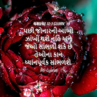 Picture 04 - યશાયા 32:3 GUJIRV - પછી જોનારની આંખો - Bible Verse Picture