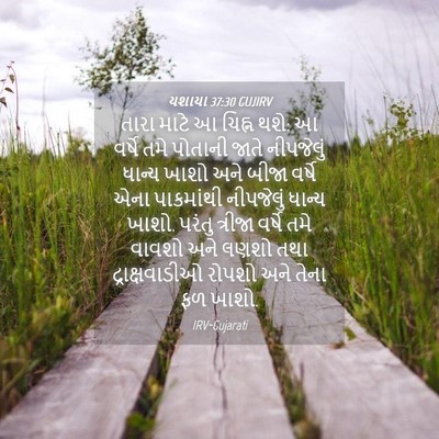 Picture 04 - યશાયા 37:30 GUJIRV - તારા માટે આ ચિહ્ન - Bible Verse Picture