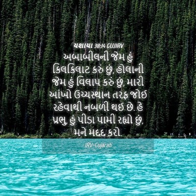 Picture 04 - યશાયા 38:14 GUJIRV - અબાબીલની જેમ હું - Bible Verse Picture