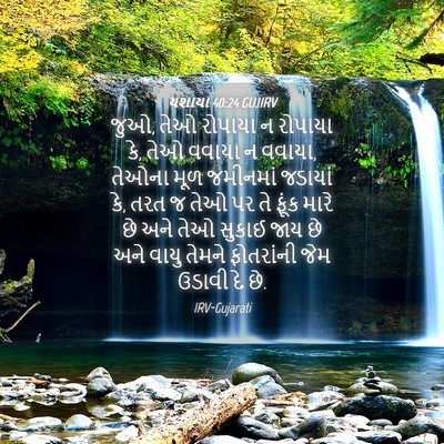 Picture 04 - યશાયા 40:24 GUJIRV - જુઓ, તેઓ રોપાયા ન - Bible Verse Picture